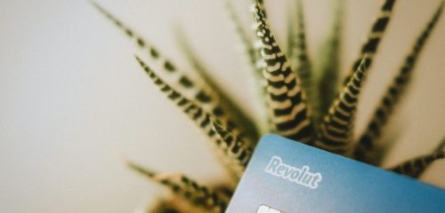 Wittix vs Revolut: Which One Is Good for You?